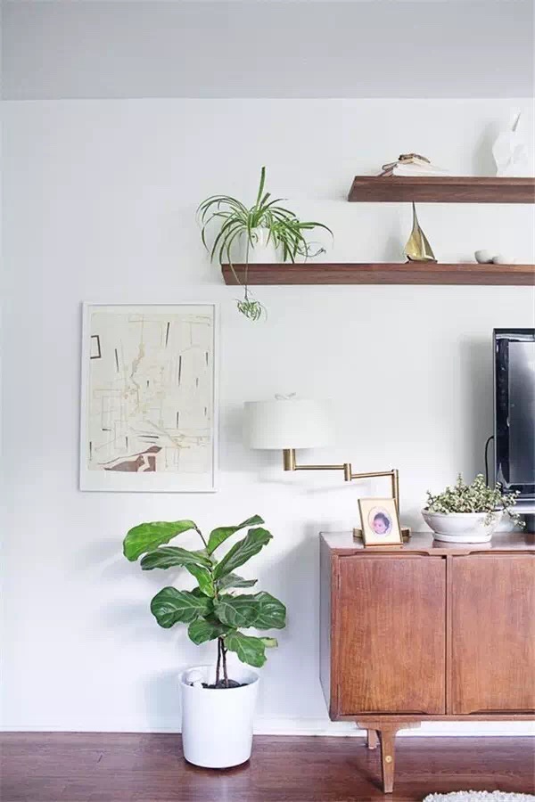 硅藻泥，硅藻泥加盟，硅藻泥厂家，硅藻泥品牌，硅藻泥代理，硅藻泥模具，水性硅藻泥，硅藻泥电视背景墙