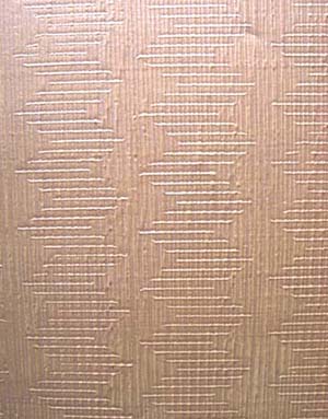 肌理壁膜 肌理壁膜