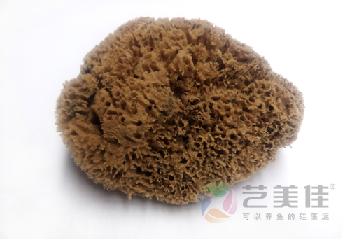 天然海藻绵的使用方法 天然海藻绵的使用方法