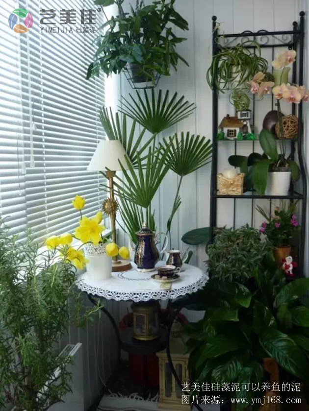 硅藻泥，硅藻泥加盟，硅藻泥厂家，硅藻泥品牌，硅藻泥代理，硅藻泥模具，水性硅藻泥，硅藻泥电视背景墙