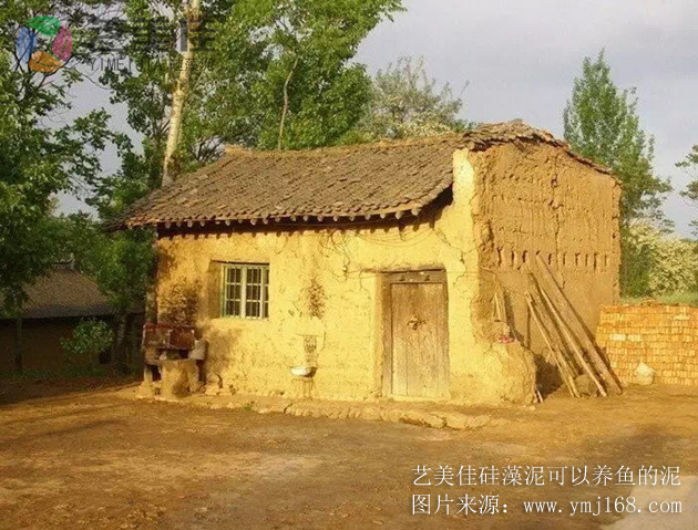 硅藻泥不是潮流，是趋势！