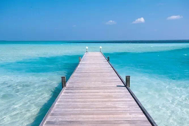 你的安全感从哪儿来？我的安全感从家来！