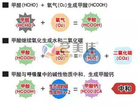 硅藻泥吸收和分解甲醛原理
