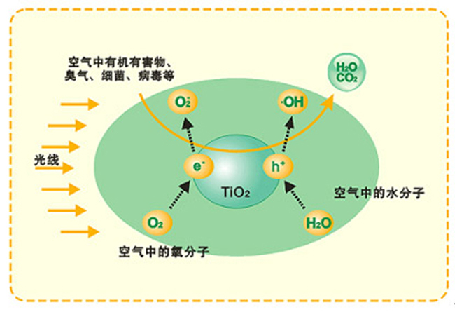硅藻泥真能吸收甲醛吗？