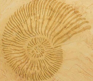 DIY花型镂印-LY40001