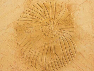 DIY花型镂印-LY40002