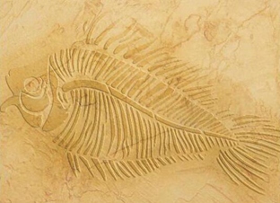 DIY花型镂印-LY40003